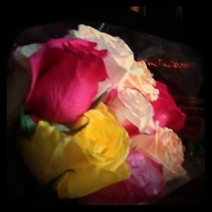 Meet your Posher, Nikki